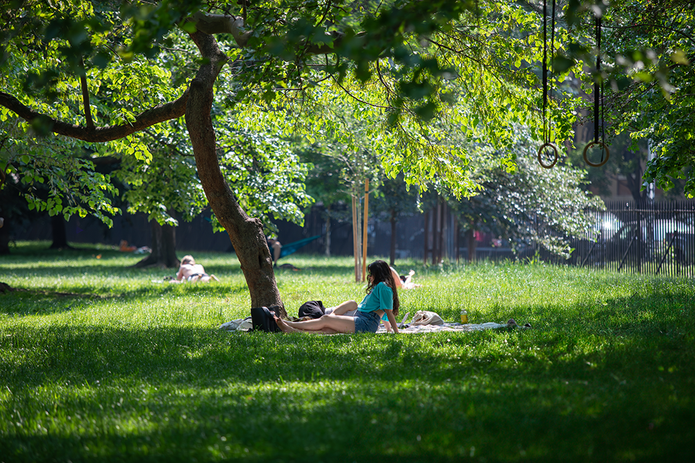 park day.png