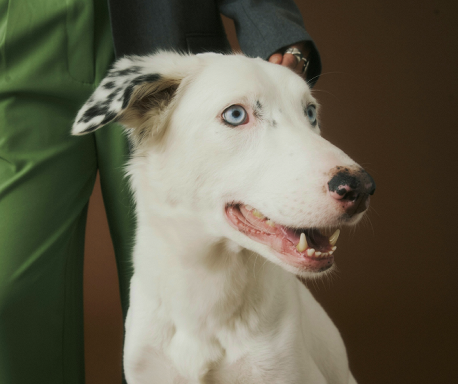 image (57).png